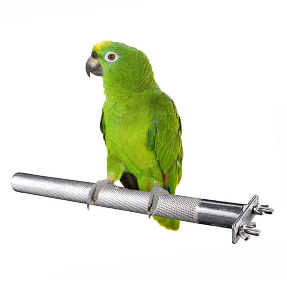 Bird Perch Stainless Steel Stand Parrot Rod Grinding Claws Trimming Beak Nails Grinding Stick Exercise Platform for Parakeet Cockatiel Conure African Grey Macaw Finch Bird Cage Accessories (L)