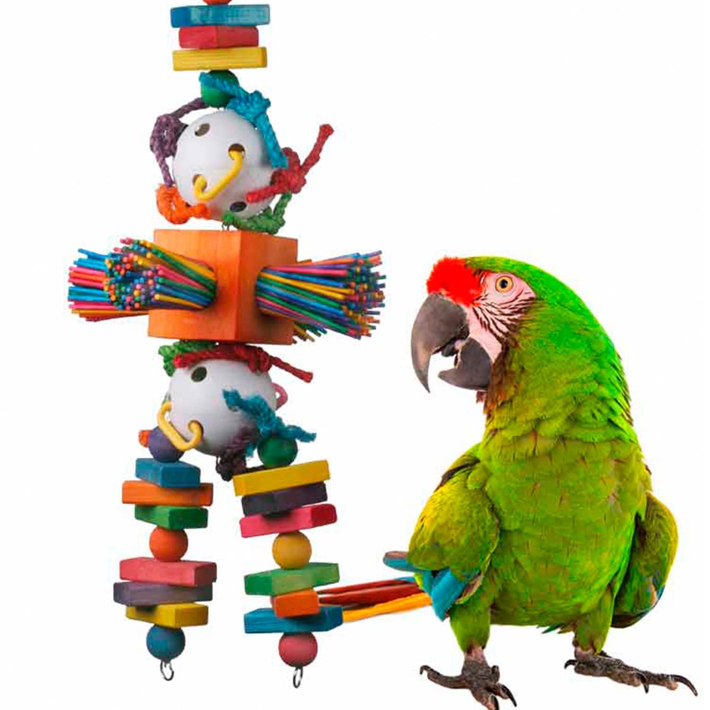 Super Bird Creations SB514 Willy Nilly Bird Toy XL - Enriching Parakeet Toys for Large Birds Bird Foraging Toys Bird Toys for Parrots Parrot Toys for Large Birds Large/XL Bird Size 29" x 11"